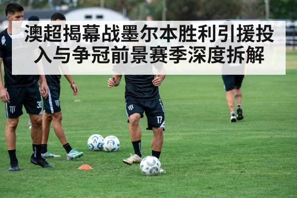澳超揭幕战墨尔本胜利引援投入与争冠前景赛季深度拆解(kaiyun)